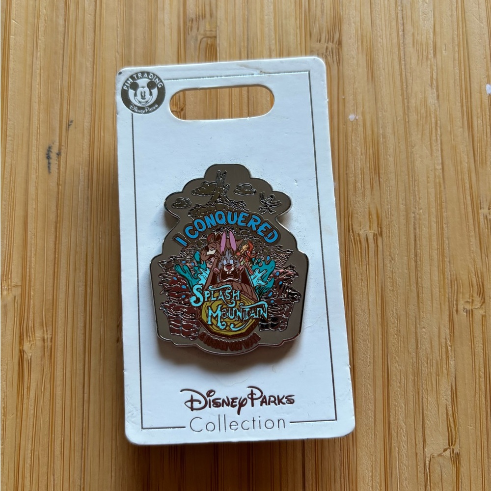 Disney Parks Splash Mountain Pin